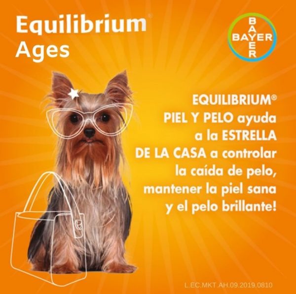 Equilibrium AGEs2