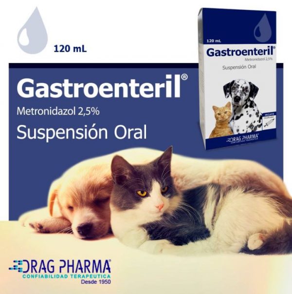 Gastroenteril4