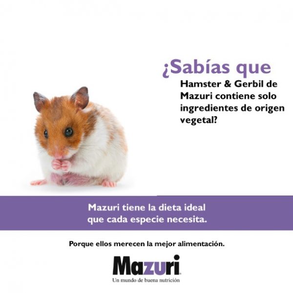 Mazuri hamster2