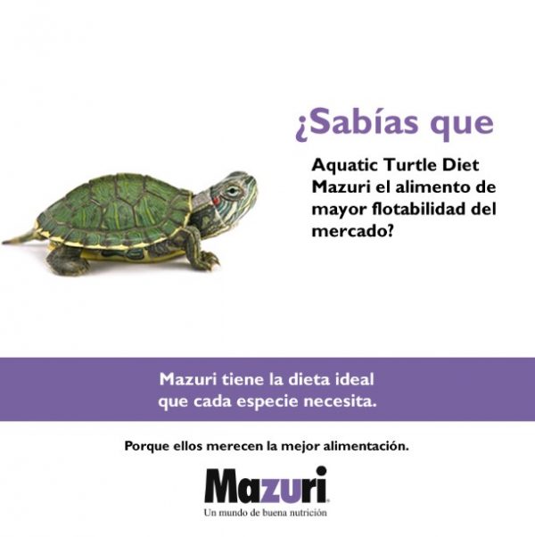 Mazuri tortuga acuatica3