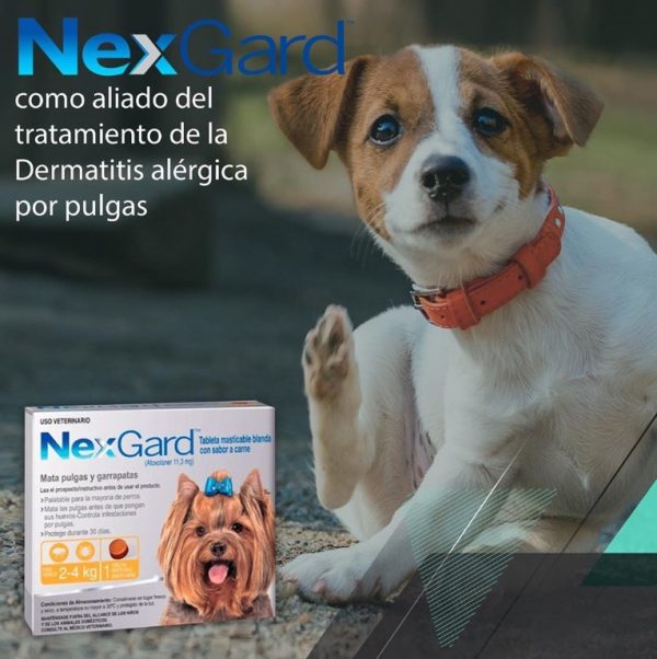 Nexgard 2 4kg 1 comprimido4