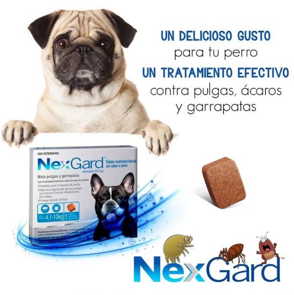 Nexgard 4 10kg 1 comprimido2