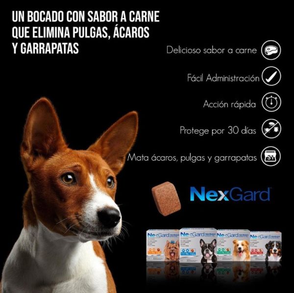 Nexgard 4 10kg 1 comprimido3