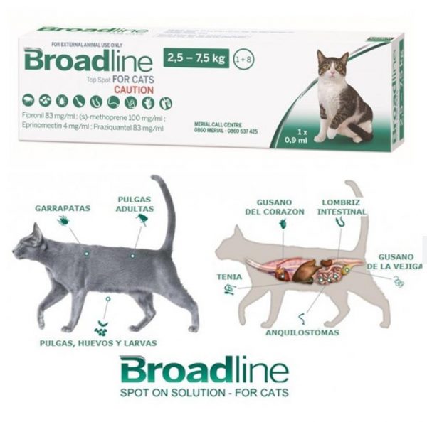 Pipeta Broadline gato