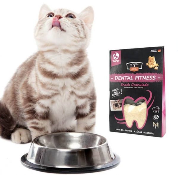 Qchefs Dental Fitness granulado gato