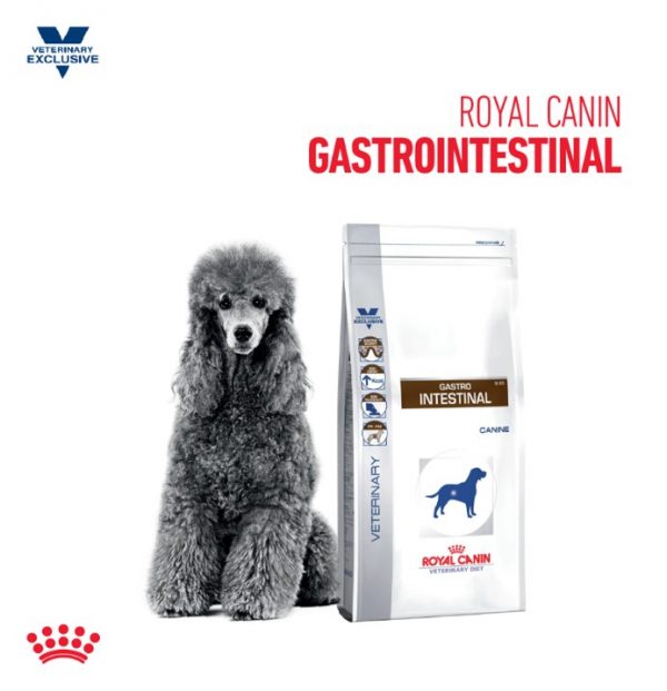 Royal canin gastrointestinal perro 2