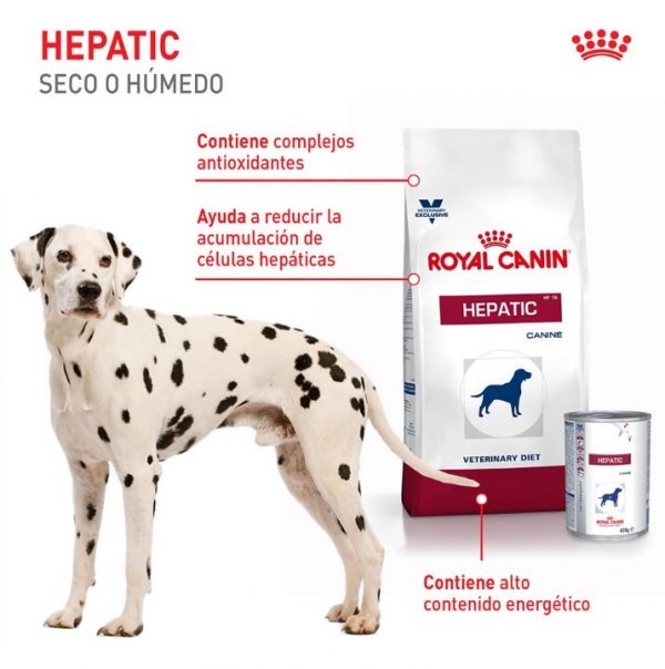 Royal canin hepatic perro 3 1