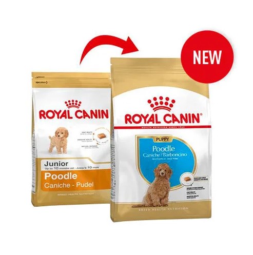 crisis Sobrevivir Pertenece Royal Canin Poodle junior 3kg - Agropets