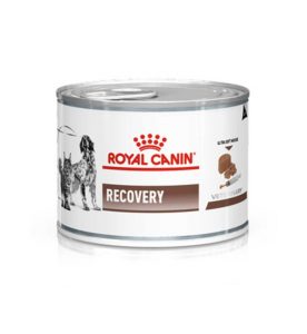 Royal canin recovery 145gr