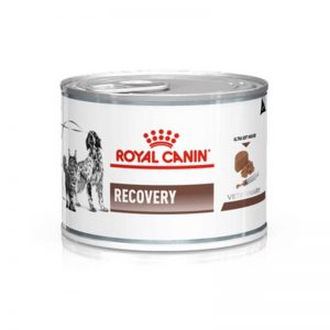 Royal canin recovery 145gr