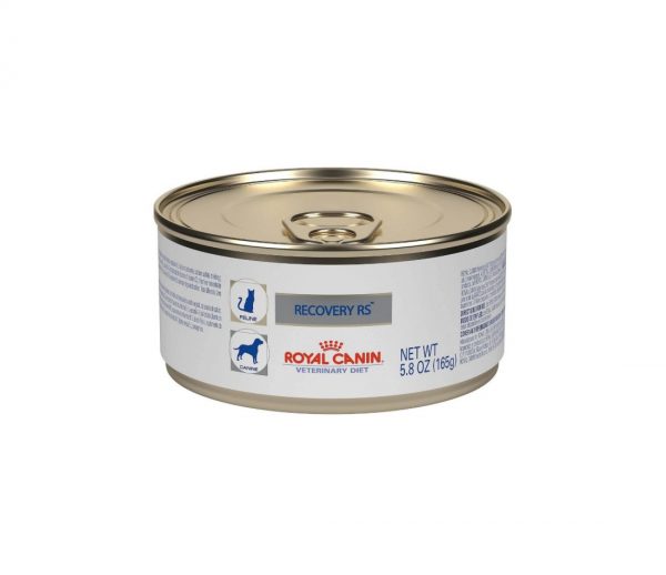 Royal canin recovery