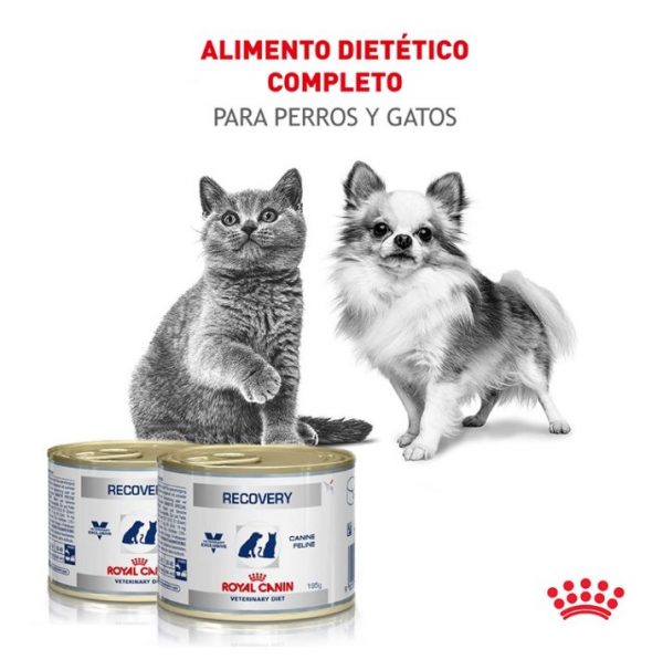Royal canin recovery3