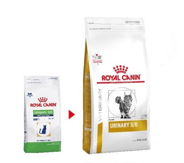 Royal canin urinary so gato2