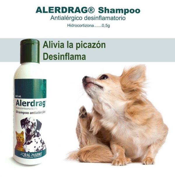 Shampoo Alerdrag4
