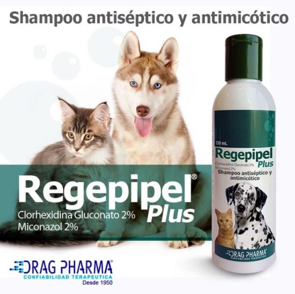 Shampoo Regepipel plus