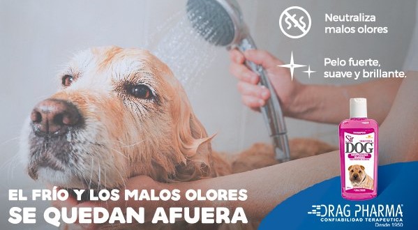 Shampoo Sir Dog neutralizador olores