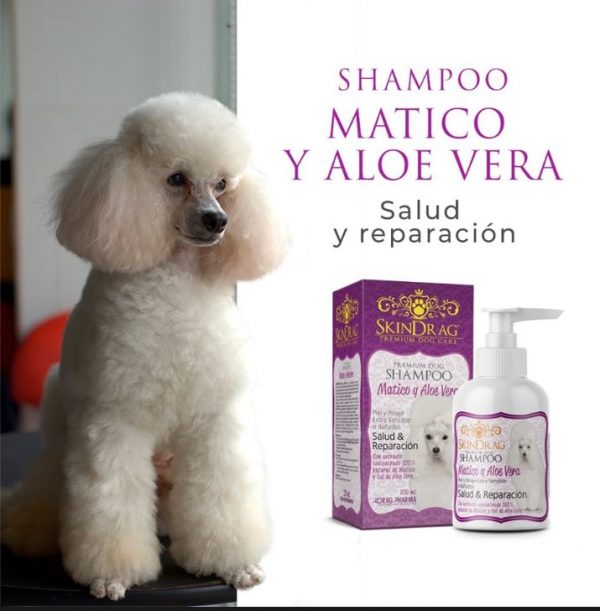 Shampoo Skindrag Matico aloe