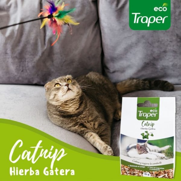 Catnip Traper2