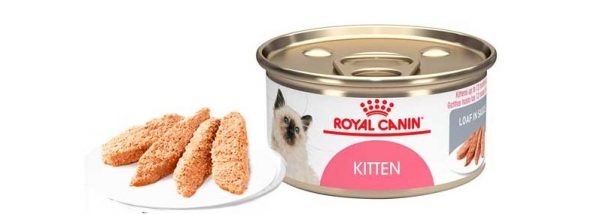 Royal canin kitten lata 3
