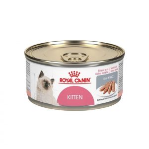 Royal canin kitten lata