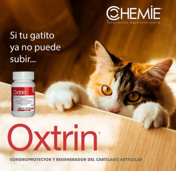 Oxtrin 3