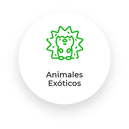 productos para animales exóticos